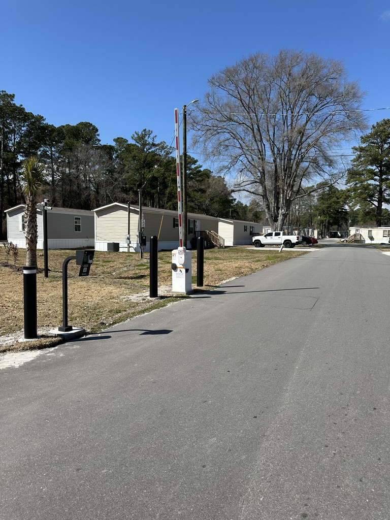 Community street lined with homes and palms